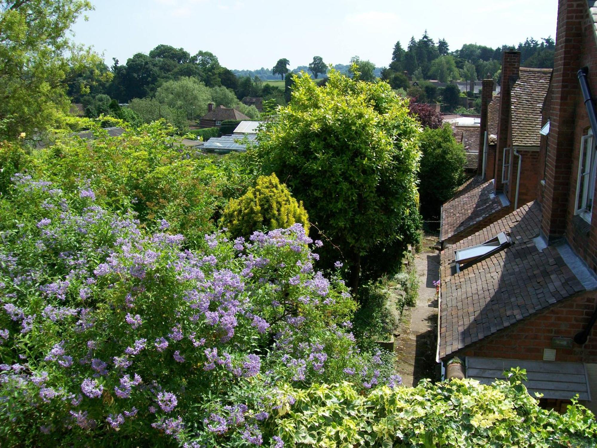 Frog Cottage, Ludlow - A Charming Townhouse For 4 エクステリア 写真